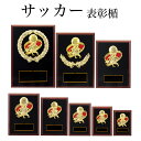 表彰楯 (サッカー) K5106 木製圧縮材 【化粧箱入り】【レーザー彫刻名入れ無料】 南九州トロフィー