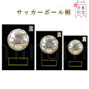 表彰楯 （サッカー） K5108 【化粧箱入り】【レーザー彫刻・文字彫刻代無料】 盾 南九州トロフィー