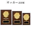 表彰楯 (サッカー) K5111 木製圧縮材 樹脂レリーフ 【化粧箱入り】【レーザー彫刻名入れ無料】 盾 南九州トロフィー