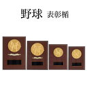 表彰楯 (野球) K5207 木製圧縮材 金属レリーフ 【化粧箱入り】【レーザー彫刻名入れ無料】 南九州トロフィー