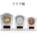 表彰楯 クリア楯 KV5438 樹脂製 【化粧箱入り】【レーザー彫刻名入れ無料】 南九州トロフィー