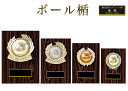 表彰楯 ボール楯 KV5459 木製圧縮材 樹脂レリーフ 【化粧箱入り】【レーザー彫刻名入れ無料】 南九州トロフィー