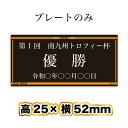 プレートのみ 黒プレート白銀文字★既製アルミプレートA-1・長方形(高25×横52mm) 表彰 トロフィー 優勝 カップ メダル 再利用 交換 ネームプレート 銘鈑 銘板 名入れ その他使い方はいろいろ