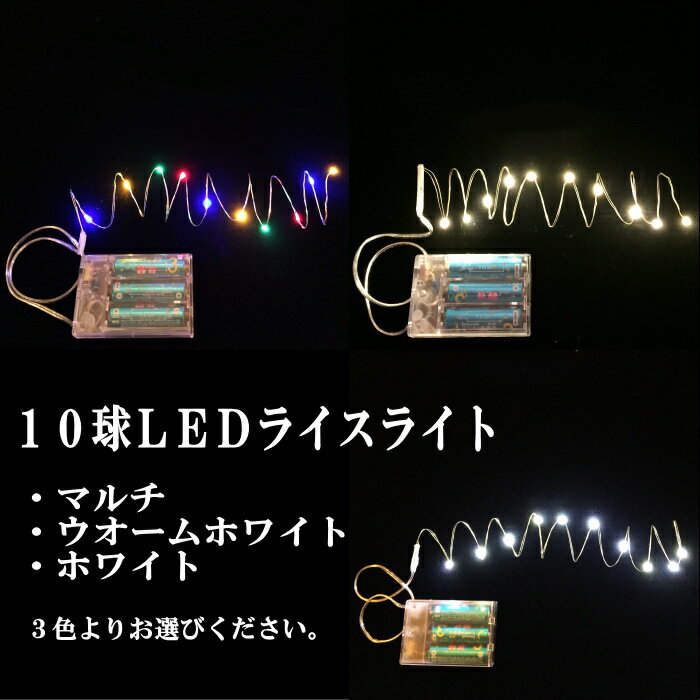 LED ライト 乾電池式 イルミネーション 10球LEDライスライト 単三乾電池3本別売