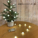 LED ライト 乾電池式 イルミネーション 20球LEDライスライトボール 単三乾電池3本別売 綺麗 おしゃれ(3)