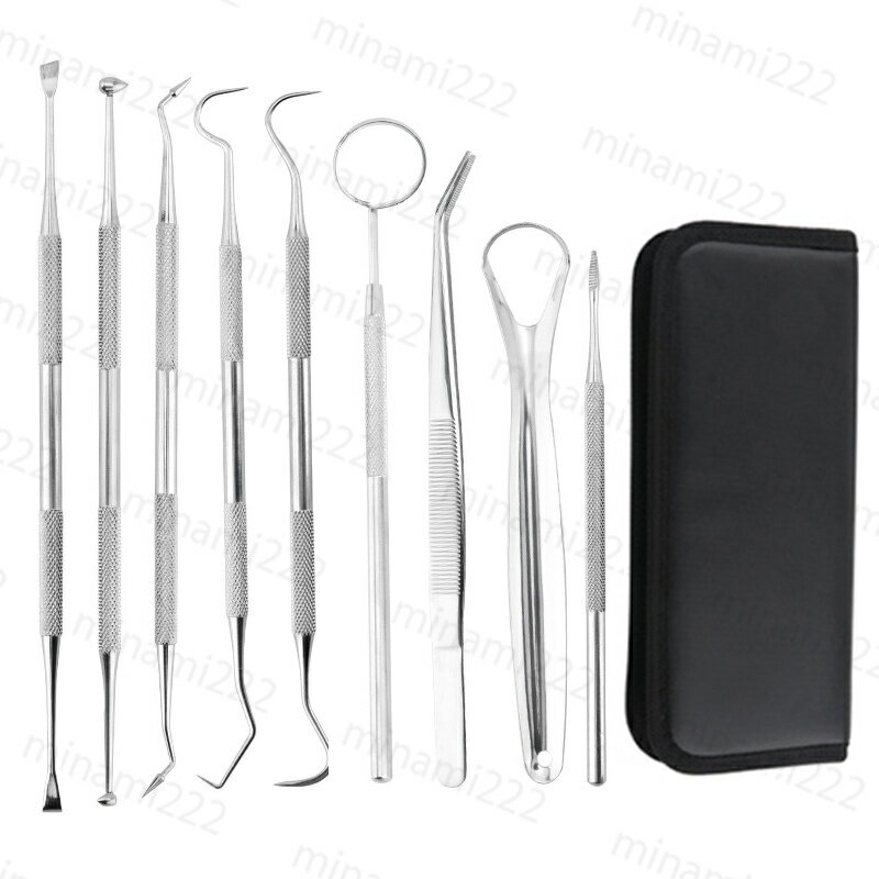 br36# 9本セット 歯科口腔清掃キット専用ケース付き 歯石 歯の清掃ツール 舌みがき 送料無料 歯石取り ..