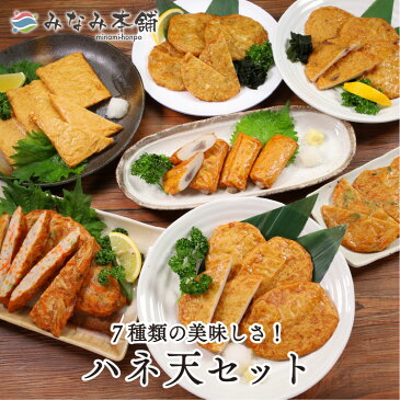 半額 送料無料 7種類のはね天セット 各種個別冷凍で保存が簡単 さつま揚げ 揚げカマ
