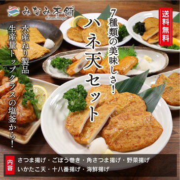 半額 送料無料 7種類のはね天セット 各種個別冷凍で保存が簡単 さつま揚げ 揚げカマ