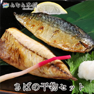 送料無料　三陸産　金華鯖の干物セット※半身8枚　さば サバ お取り寄せ 産地直送 自社製造