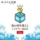 魚 切り落とし ミステリー袋 3kg 訳あり 訳アリ【送料無料!冷凍