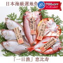 お中元 2025 日本海厳選地魚一夜干「一日漁」恵比寿(えびす) のどぐろ、甘鯛、れんこ鯛、かれい 国産 島根産 無添加 岡富商店 -おかとみ- ギフト のし対応可 夏ギフト