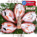 のどぐろ一夜干「一日漁」小 70~100gサイズ(5~6枚) 国産 島根産 無添加 岡富商店 -おかとみ- ギフト のし対応可