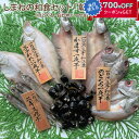 お中元 2025 しまねの和食セット「朝凪」(のどぐろ・かます・エテかれい・にぎす・しじみ) 国産 無添加 島根産 宍道湖 岡富商店 -おかとみ- ギフト のし...