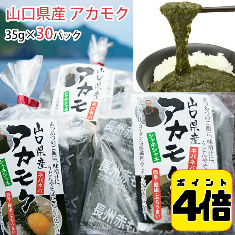 31日10:59まで4倍！アカモク 山口県産「まいにちアカモク」35g×30パックセット 無添加 新友商店　あかもく アカモク家フコイ団十郎商店