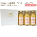 ジュエリーピーチ 農園の完熟ジュースセット 完熟ピーチネクター 白桃 250ml×3本 やまなし内藤農園 ギフト のし対応可