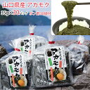 アカモク 山口県産「まいにちアカモク」35g×30パックセット(無添加 長門ゆずきちポン酢30袋付き) あかもく 新友商店 アカモク家フコイ団十郎商店