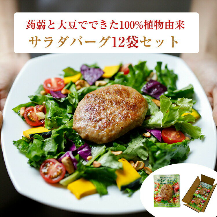 100%植物由来のハンバーグ 「サラダバーグ」12袋セット 茂木食品 ヴィーガン ギフト のし対応可　お中元　御中元