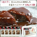 近江牛 ハンバーグ （デミグラスソース） 120g×5個セット 肉のあさの のし対応可