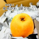 千葉県南房総産『房州びわ』 露地栽培 2L以上大玉2kg詰め...