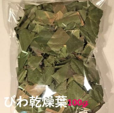 【送料無料】乾燥葉（びわ）100グラム びわ 葉 びわの葉 茶 枇杷 の葉 ビワ の葉 びわ葉 ビワ葉 枇杷葉 ドライリーフ びわ茶 ビワ茶 枇杷茶 びわちゃ びわエキス びわの葉エキス ビワの葉エキス 乾燥 無農薬 健康 美容 風呂 入浴剤 ギフト みなみちたフルーツ