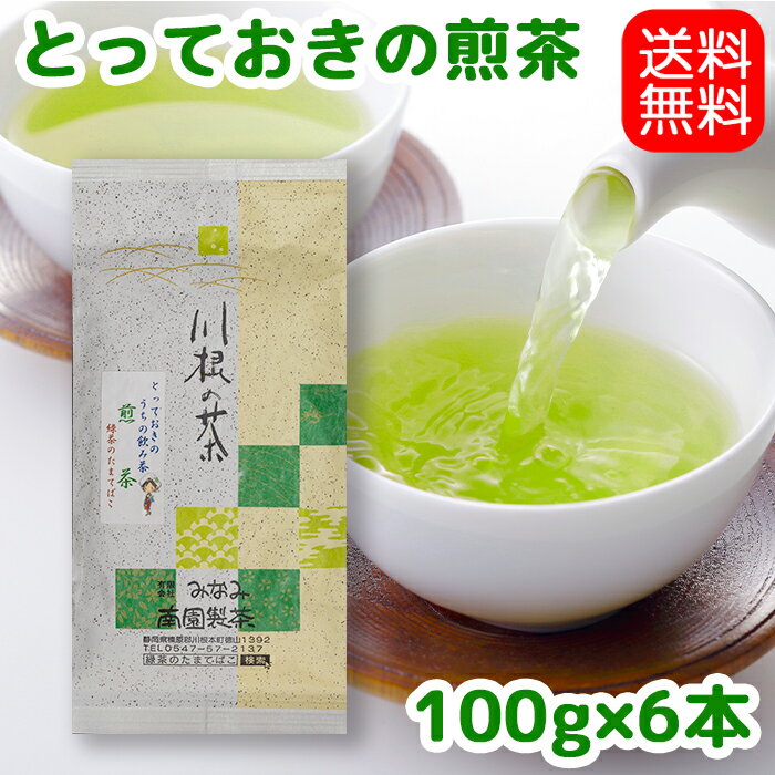 【送料無料】とっておきのうちの飲み茶【煎茶】600gお茶 茶葉 日本茶 緑茶 深蒸し茶 静岡茶 川根茶