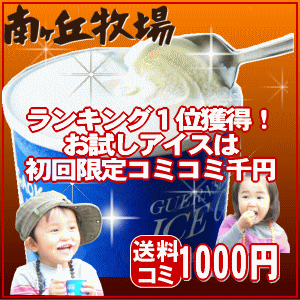 南ヶ丘のアイスクリーム【ご本人様限定！ギフト不可】【初回限定】【お一人様1個限り】【コミコミ1,000円】【送料無料】南ヶ丘牧場の味をあなたにお試しいただきたいのです！お試しアイスクリームはギフト不可 ご本人様限定です♪　今だけ！★初回限定★　1,000円コミコミ！　おためし［アイスクリーム］（480ml大サイズ）【送料無料】51％OFF/スイーツ/ランキング上位/メディア/雑誌/紹介/バニラ/生乳/濃厚/ミルク/牧場/