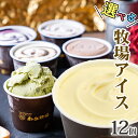 ＼バニラが美味い牧場アイス／ 選べる12個入り［南ヶ丘牧場のアイスクリーム］(アイス12) ギフト お歳暮 お年賀 誕生日 出産内祝 結婚内祝 お礼 お見舞い ありがとう 卵不使用 送料無料 高級アイス 定番 スタンダード 詰め合わせ お取り寄せ ice cream