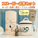スヌーピーお茶セット ホーロー急須 鉄玉プッシュ式容器 密閉容器 スヌーピー 池永鉄工 南部鉄 キャラクター鉄玉 プレゼント 御礼 キャンプ 贅沢 おうち時間 ...