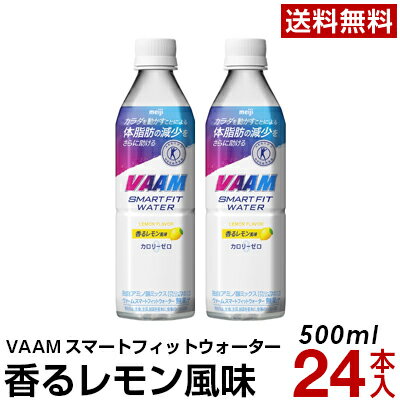 明治 ヴァーム スマートフィット ウォーター（香るレモン風味） 500ml 24本 【送料無料】【常温便】meiji 【ヴァーム(VAAM)】 スポーツ飲料　ダイエット　体脂肪　機能性表示食品　ヴァームスマートフィットウォーター ケースのサムネイル