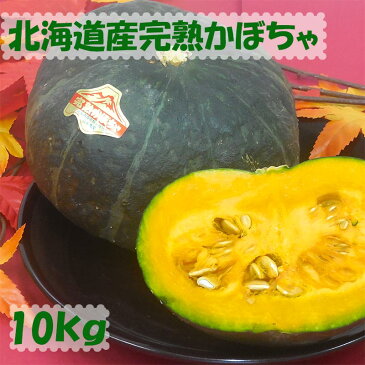 大人気★北海道産ほくほくかぼちゃ 10kg(4玉〜8玉) ★ 【 送料無料 】