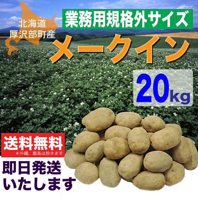 【送料無料】業務用規格外サイズメークイン20kg