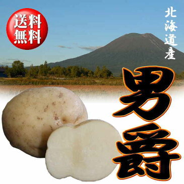 北海道産じゃがいも「だんしゃく」Mサイズ10kg【送料無料】