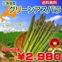 【送料無料】北海道産グリーンアスパラ　Lサイズ750g(150×5束)