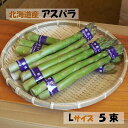 【送料無料】アスパラガス 北海道産1kg L～2Lサイズ グリーンアスパラガス アスパラ