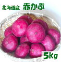 【送料無料】函館産赤かぶ5kg 【数量限定】