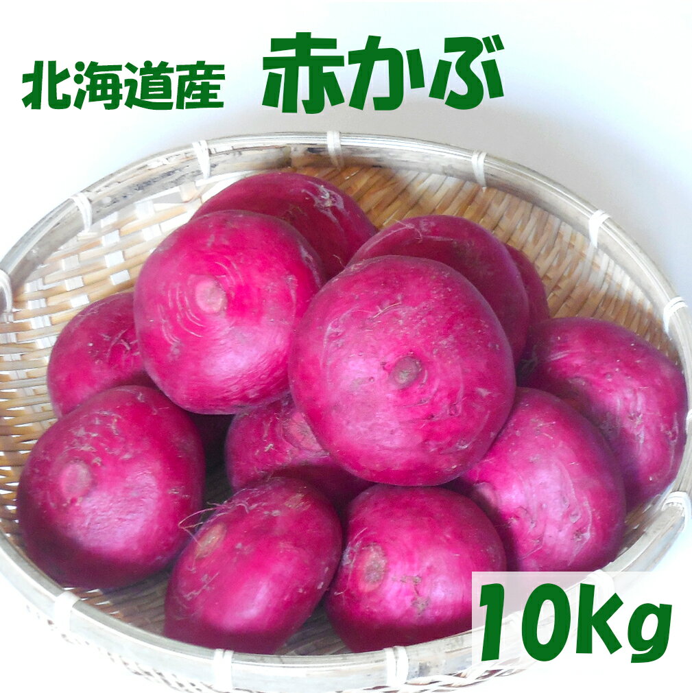 【送料無料】函館産赤かぶ10kg 【数量限定】