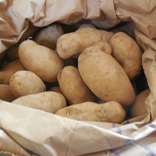じゃがいも収穫の時期 方法まとめ 食べ頃の目安やタイミングはいつが正しい 暮らし の