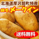 【送料無料】北海道厚沢部産「メークイン」Lサイズ　5kg【越冬】 2