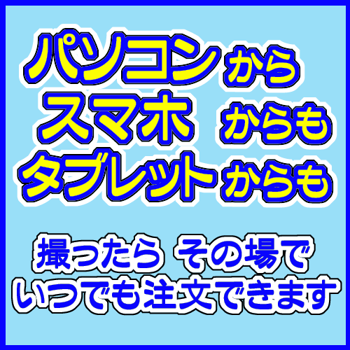 フォトブック・写真集 文庫本サイズ 48ページ フォト本 3