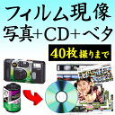 カラーフィルム現像 + 写真プリント Lサイズプロ仕上げ 各1枚 + CDデータ化 + ベタ焼き 40枚撮りまで対応 インスタントカメラ フィルム 現像 デジタ...