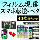 カラーフィルム現像+データ化 スマホ転送 40枚撮りまで対応 データダウンロードサービス インスタントカメラ フィルム 現像 デジタル化 ネガ返却有+ベタ焼き