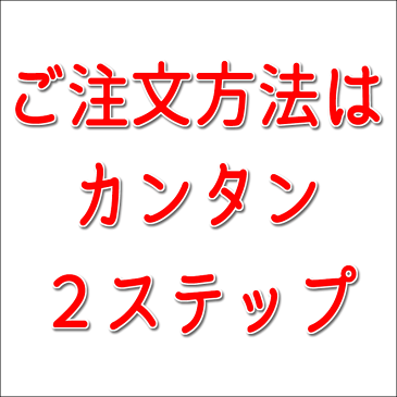 カラーフィルム現像 + 写真プリント Lサイズプロ仕上げ 各1枚 + CDデータ化 27枚撮りまで対応 インスタントカメラ フィルム 現像 デジタル化