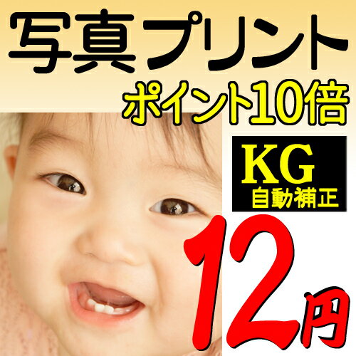 ʐ^vg fWJvg X}zvg ͂TCY␳dグ KG LOTCY