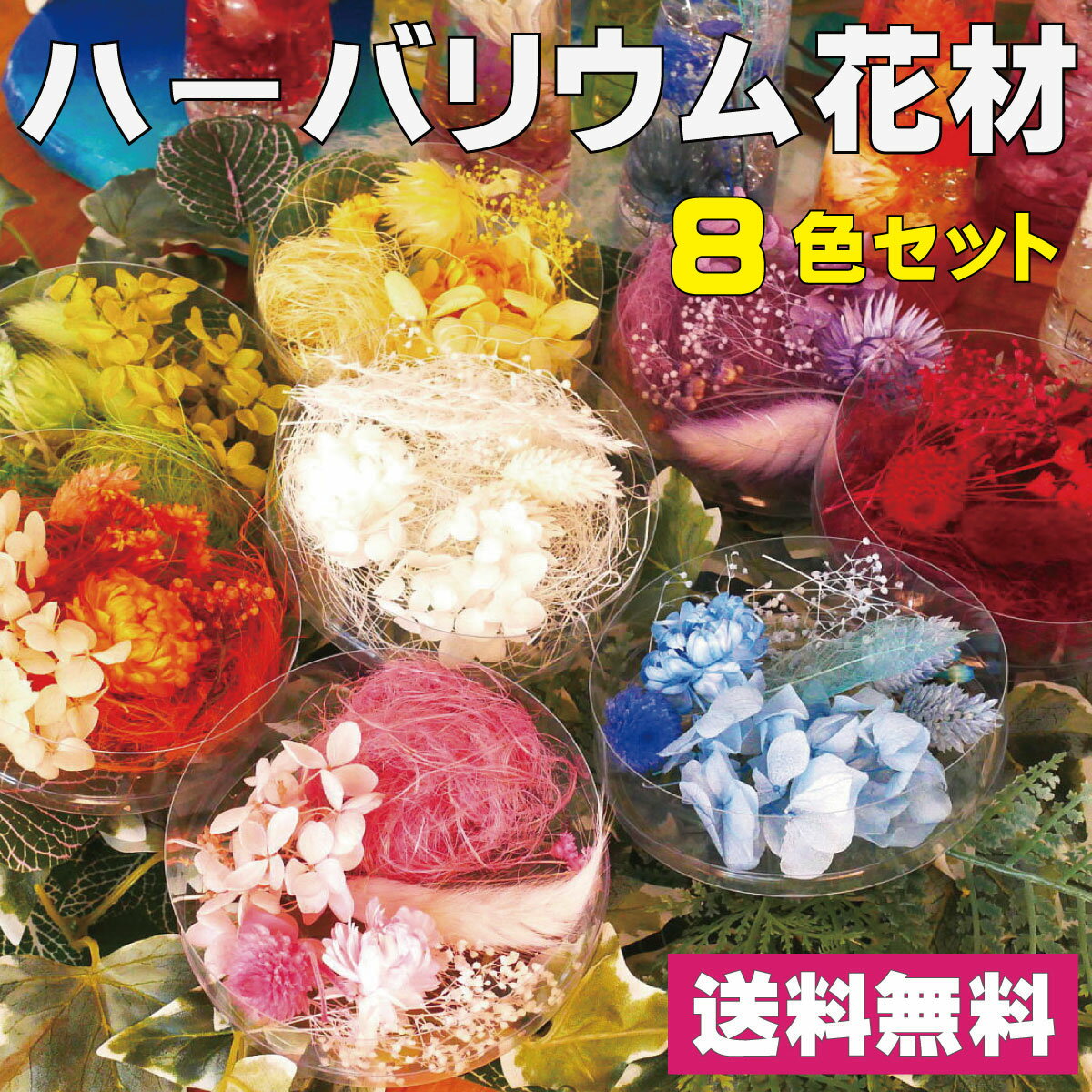 ハーバリウムが簡単につくれる花材キットです。 送料無料 プロのクオリティーでチョイスしたハーバリウム材料です。 イエロー、ピンク、ブルー、グリーン、パープル、オレンジ、レッド、ホワイトの8パック入。 花材パックは、5~6種類のプリザーブド、ドライフラワー等が100x25mmの容器に入っています。 中身が見えるクリアケースに入っていますのでそのまま置くだけでも綺麗なインテリアになります。 横浜ハーバリウム弐番店 正規品 ご注意：ロットにより花の種類が変わります。 モニターの発色の具合によって、実際のものと色が異なる場合がございます。 是非この機会に、新しい事にチャレンジしてみましょう！ ハーバリウムとは、みずみすしさを保った植物標本のこと。 ハーバリウムを日にかざすと、透明感があふれ出て、まるでオーシャンビューの部屋から、美しい景色を眺めているような雰囲気になります。 多くの女性たちを魅了する、ちょっと贅沢だけどリーズナブルなリゾート感覚のインテリアです。 瓶に入った植物は、お手入れ不要ですので、お見舞いやプレゼントにとても喜ばれます。 忙しい日々での水やりや枯れた花の後始末は面倒ですからね。 自分のお部屋をワンポイントでリゾート感覚にしてみたり、 玄関に置いてあわただしい朝のすがすがしさを取り戻したり、 キッチンやトイレに置いて、ひとりの時間をちょっと贅沢に演出してみてはいかがでしょうか。 ハーバリウムは暮らしを豊かにするエッセンス★ まとめ買いで送料がお得な、オイルとボトルのセットもご用意しております。 是非そちらもご覧くださいませ。 ↓↓↓↓↓↓↓↓↓↓↓↓↓↓↓↓ハーバリウムが簡単につくれる花材キットです。送料無料！ プロのクオリティーでチョイスしたハーバリウム材料です。 イエロー、ピンク、ブルー、グリーン、パープル、オレンジ、レッド、ホワイトの8パック入。 花材パックは、5~6種類のプリザーブド、ドライフラワー等が100x25mmの容器に入っています。 中身が見えるクリアケースに入っていますのでそのまま置くだけでも綺麗なインテリアになります。 横浜ハーバリウム弐番店 正規品 ご注意：ロットにより花の種類が変わります。 モニターの発色の具合によって、実際のものと色が異なる場合がございます。 まとめ買いで送料がお得な、オイルとボトルのセットもご用意しております。 是非そちらもご覧くださいませ。