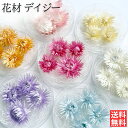 ハーバリウム 花材 デイジー ブリザーブドフラワー 中身が見えるクリアケースに入っています 横浜ハーバリウム弐番店