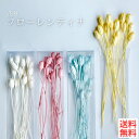 ハーバリウム 花材 フローレンティナ ブリザーブドフラワー 中身が見えるクリアケースに入っています 横浜ハーバリウム弐番店
