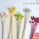 ハーバリウム 花材 ジャジルダ ブリザーブドフラワー 中身が見えるクリアケースに入っています 横浜ハーバリウム弐番店