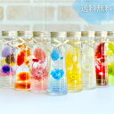 母の日 ハーバリウム \ラッピング付き/ 完成品 50ml テーパー 人気 花 ギフト プレゼント 卒業 記念日 お返し お祝い 新生活 開店祝 結婚祝 退職祝...