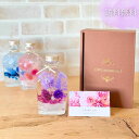 母の日 ハーバリウム \ギフトボックス・カード付/ 完成品 150ml ポケット 人気 花 ギフト プレゼント 卒業 記念日 お返し お祝い 新生活 開店祝 結...