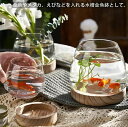 金魚鉢 水槽 小シンク おしゃれガラス 金魚 観葉植物 室内花瓶 創作卓上金魚鉢 家庭用(3)